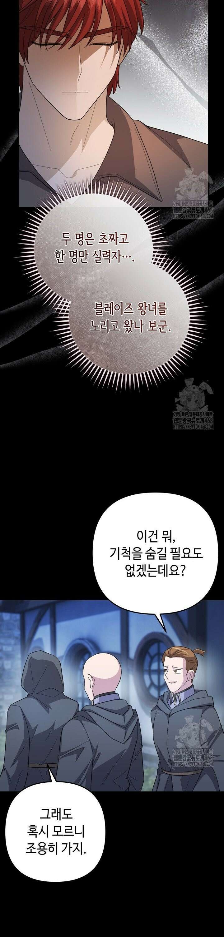 몰락한 왕녀에게는 회귀가 필요합니다 27화 4
