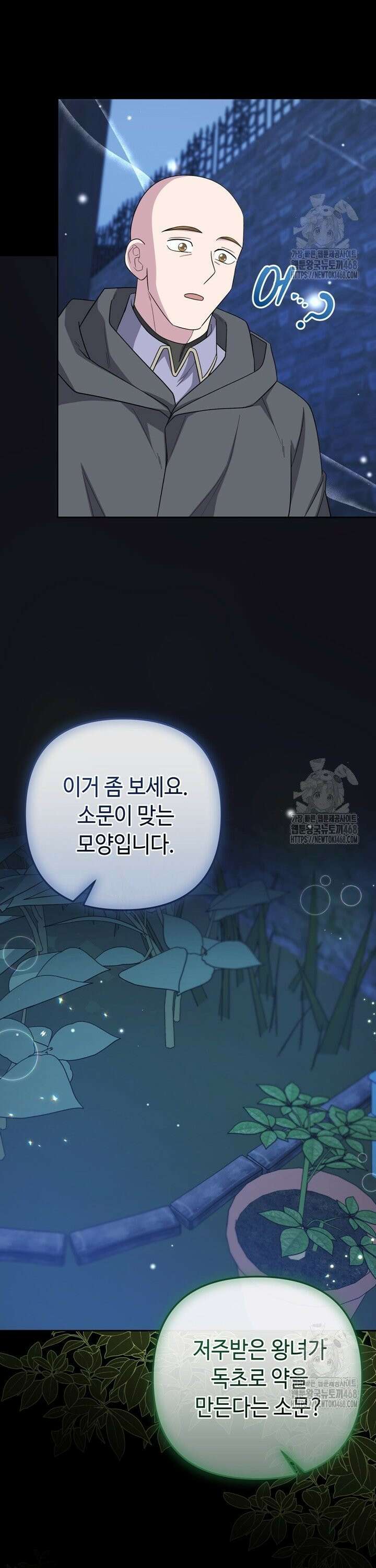 몰락한 왕녀에게는 회귀가 필요합니다 27화 5