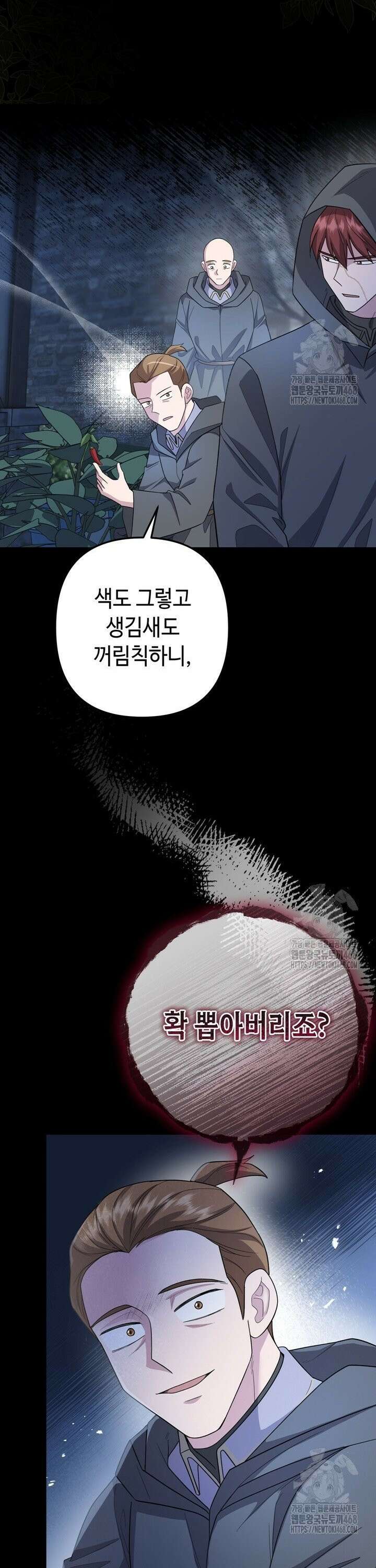 몰락한 왕녀에게는 회귀가 필요합니다 27화 6