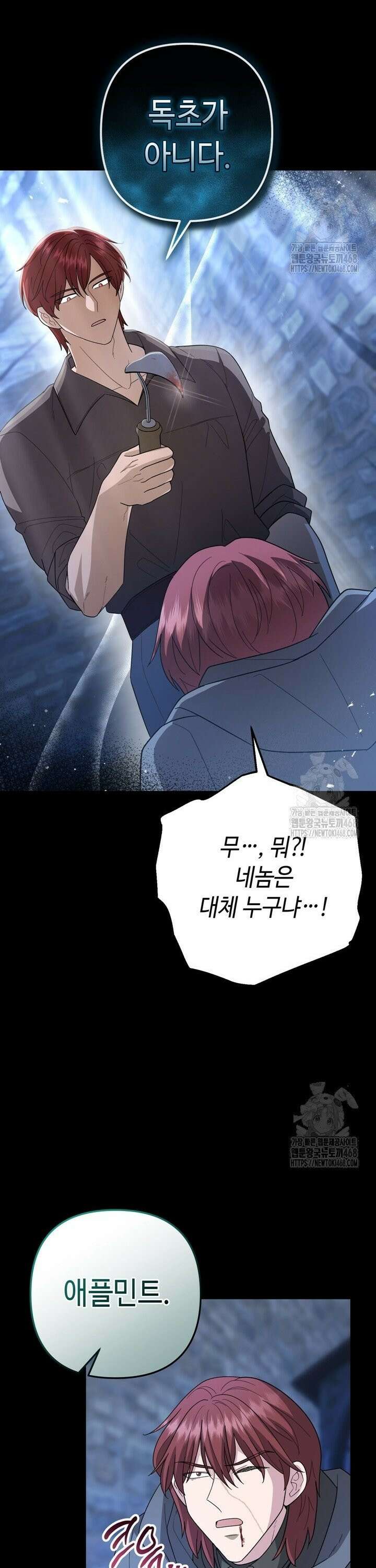 몰락한 왕녀에게는 회귀가 필요합니다 27화 11