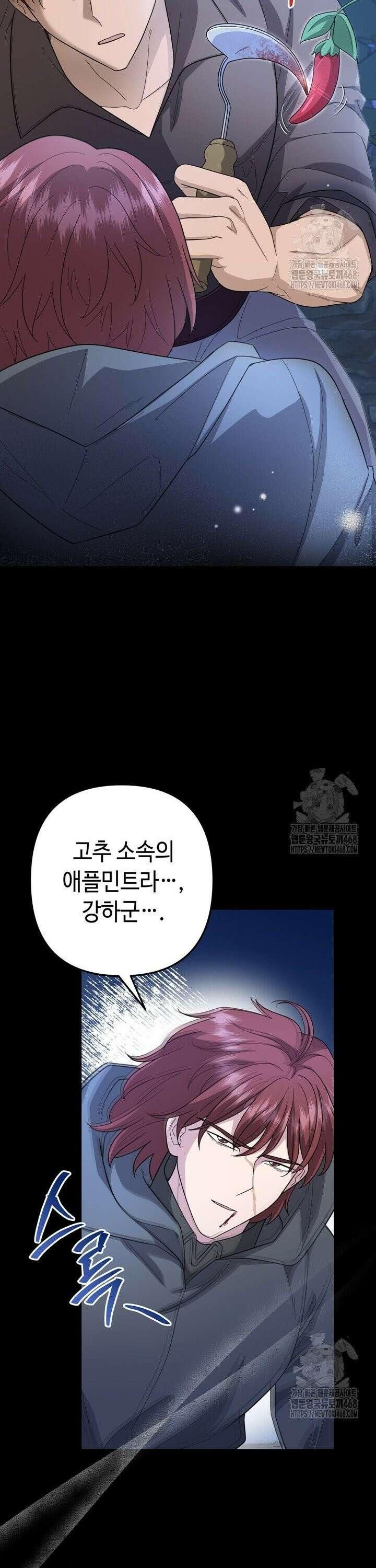 몰락한 왕녀에게는 회귀가 필요합니다 27화 13