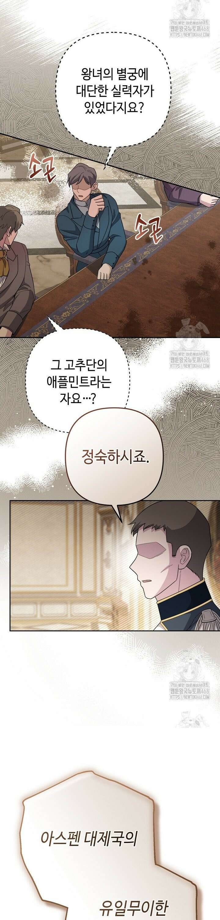 몰락한 왕녀에게는 회귀가 필요합니다 27화 28