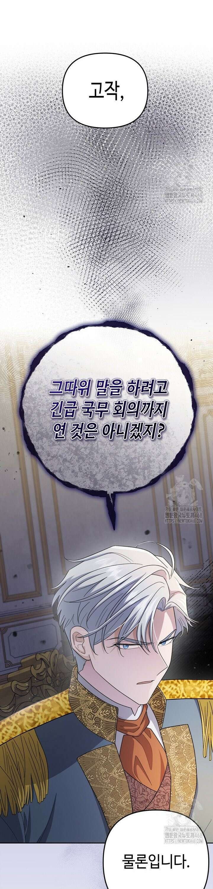 몰락한 왕녀에게는 회귀가 필요합니다 27화 33