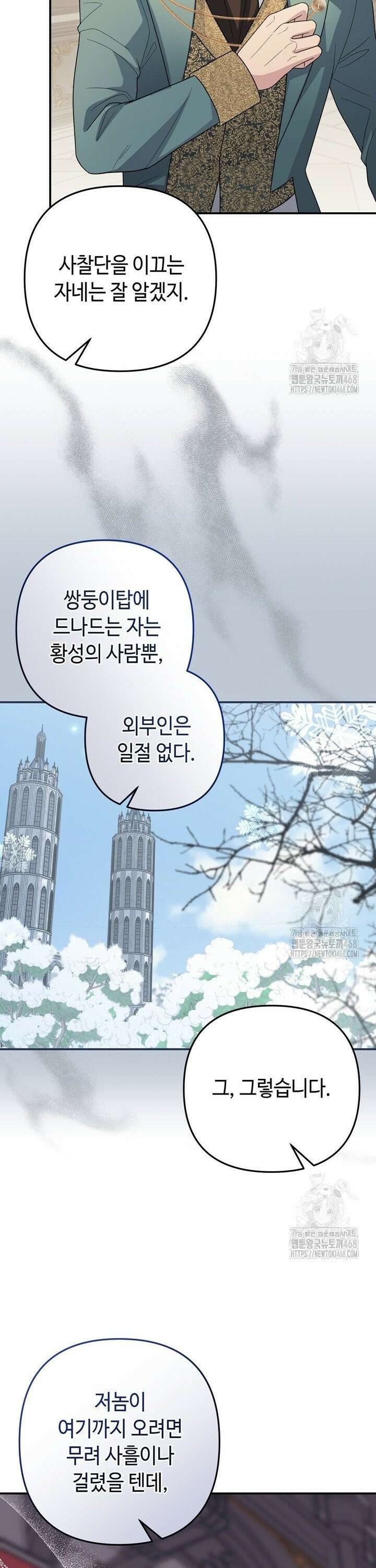 몰락한 왕녀에게는 회귀가 필요합니다 32화 12