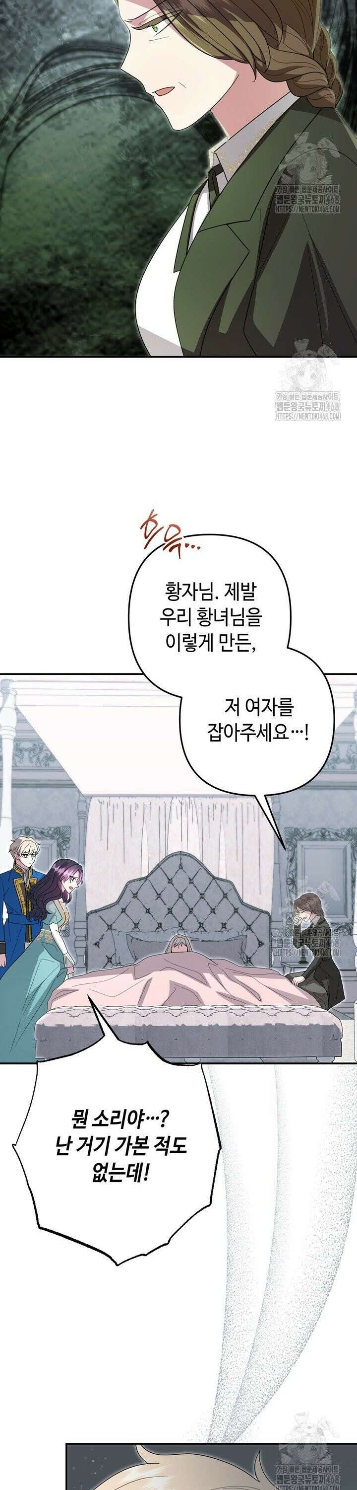 몰락한 왕녀에게는 회귀가 필요합니다 32화 41