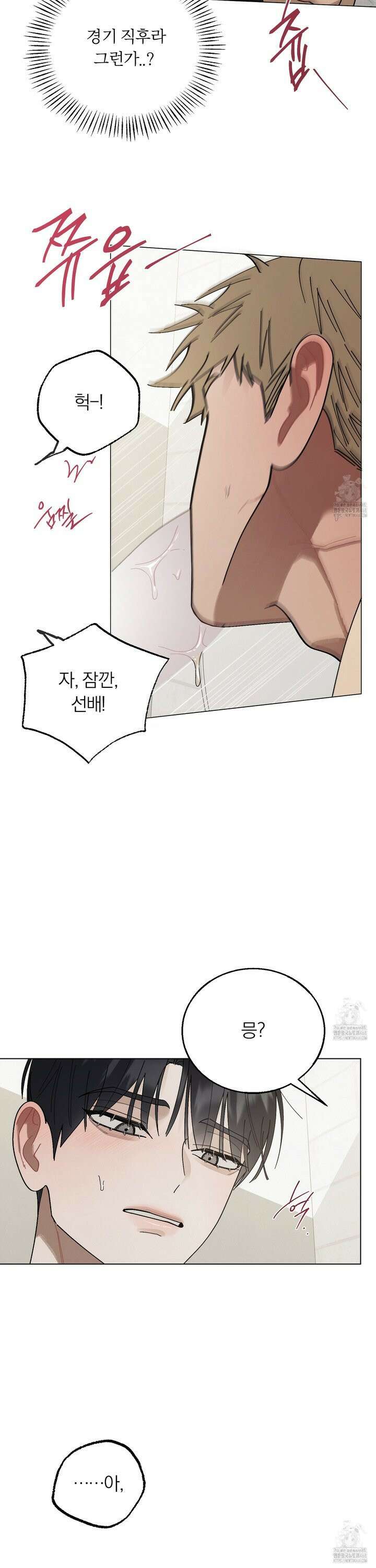 홍실퀘스트 19화 2