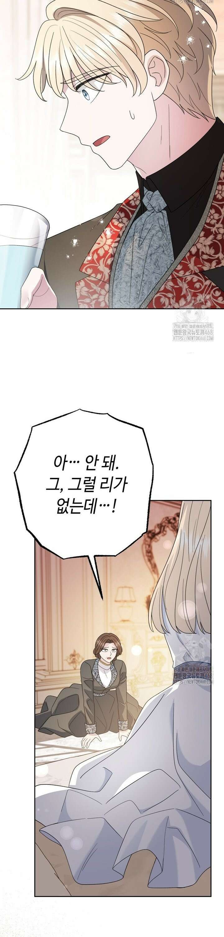 몰락한 왕녀에게는 회귀가 필요합니다 33화 40