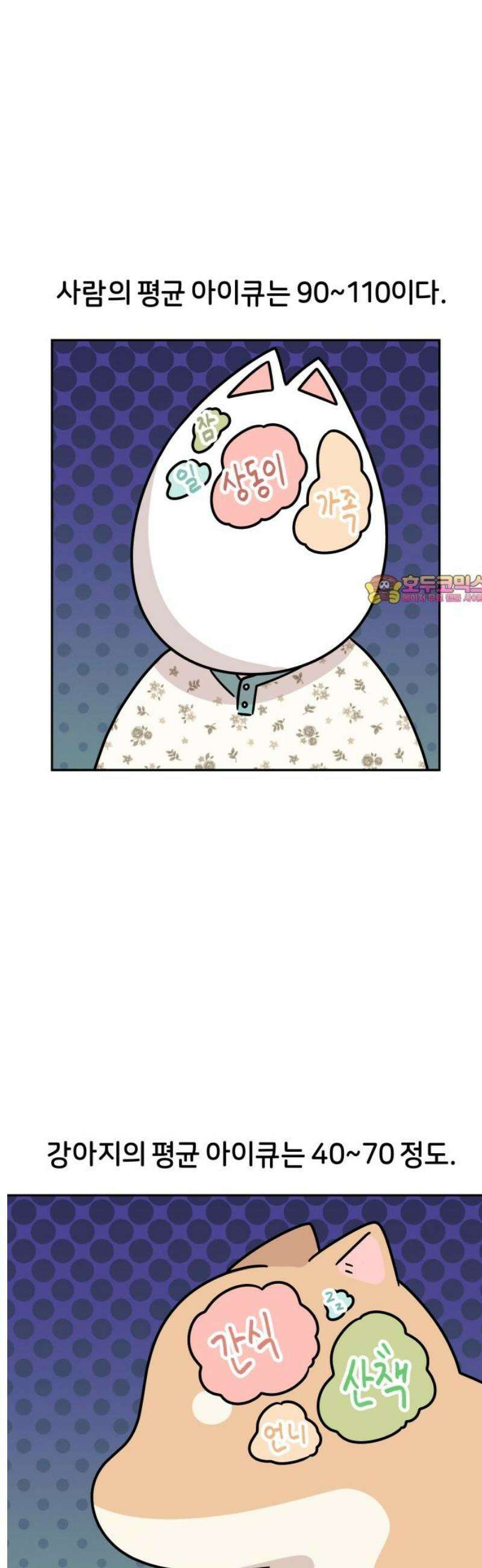 시바, 만만치 않다 44화 머리 쓰는 강아지 1