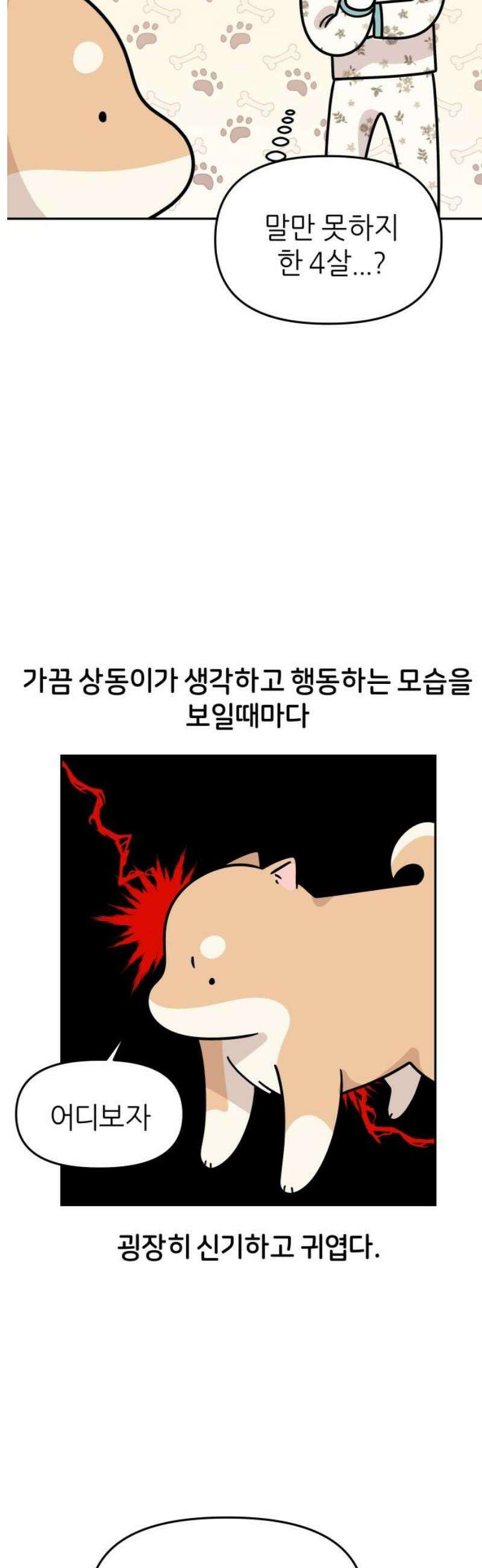 시바, 만만치 않다 44화 머리 쓰는 강아지 3