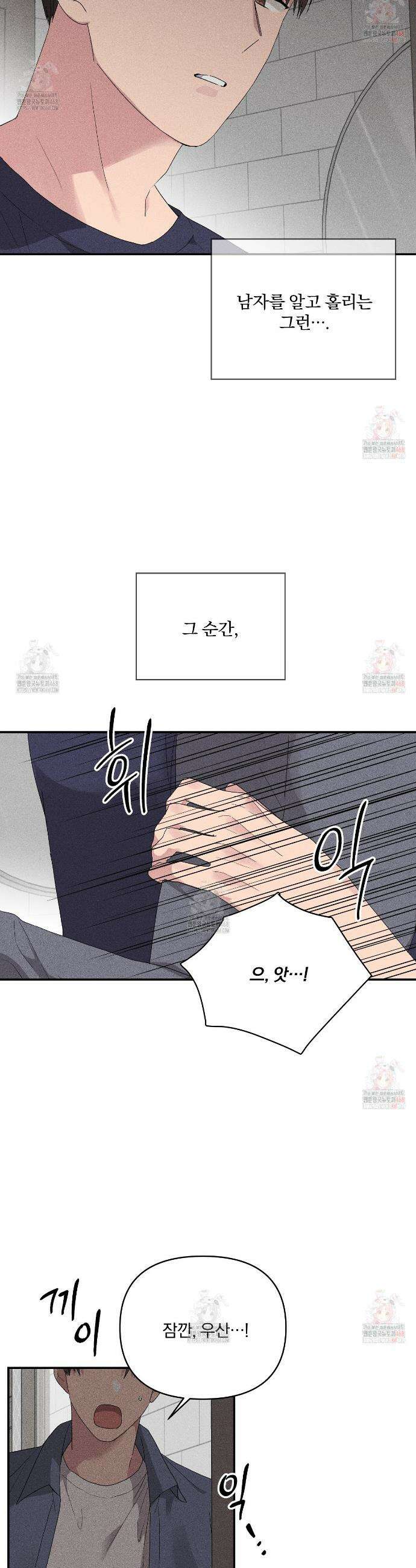치치 시리즈 53화 13