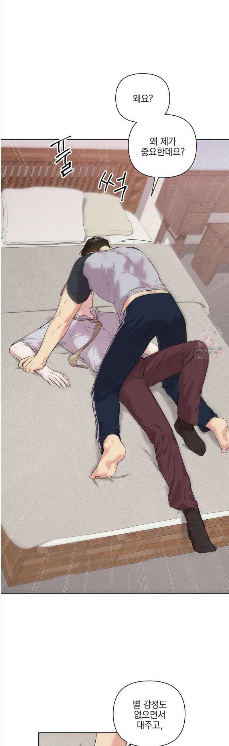 뻐꾸기는 둥지를 떠나지 않는다 11화 3