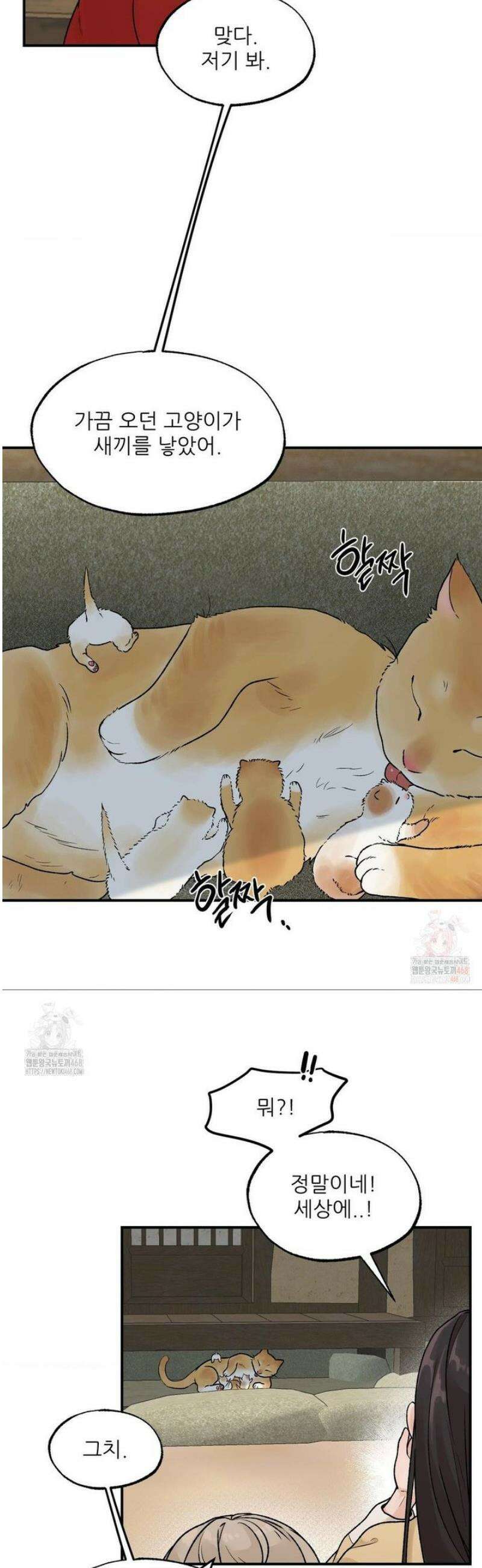 비비새 30화 10