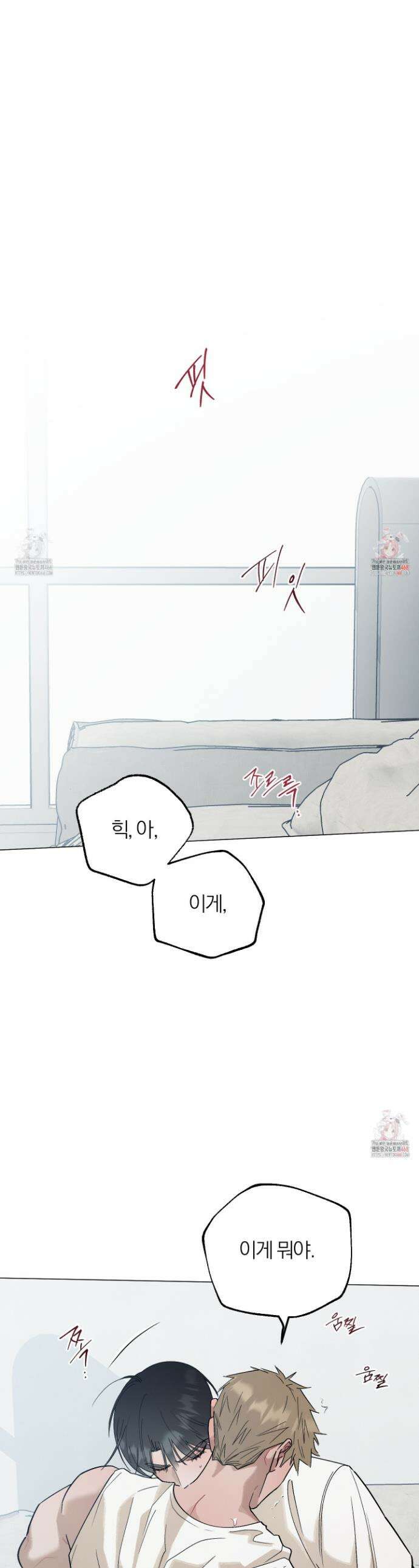 홍실퀘스트 23화 1