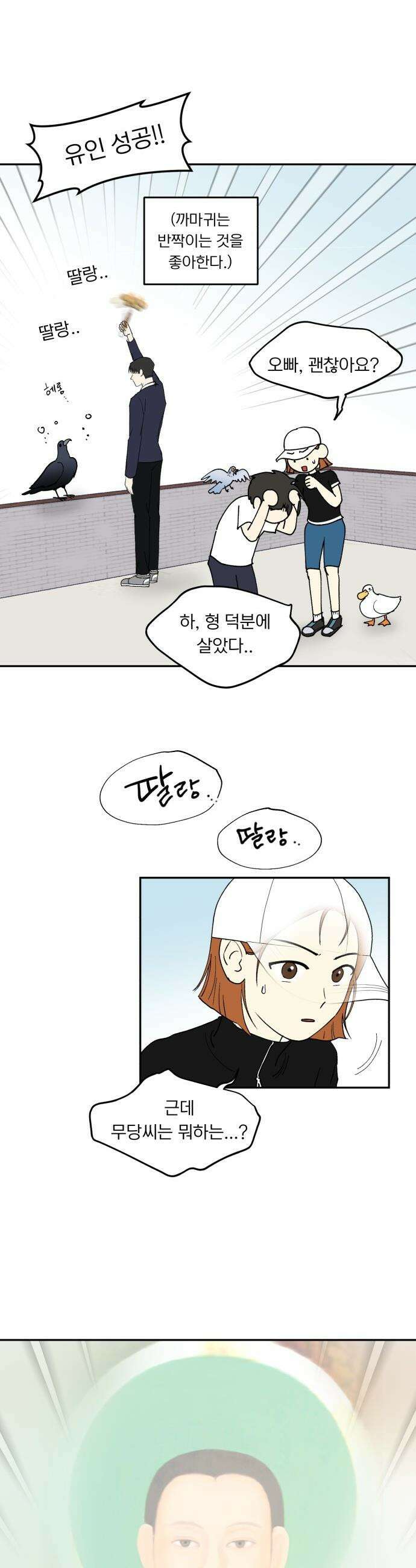 성북구 비둘기 이헌서 - 49화) 난 이제 까마귀야 5