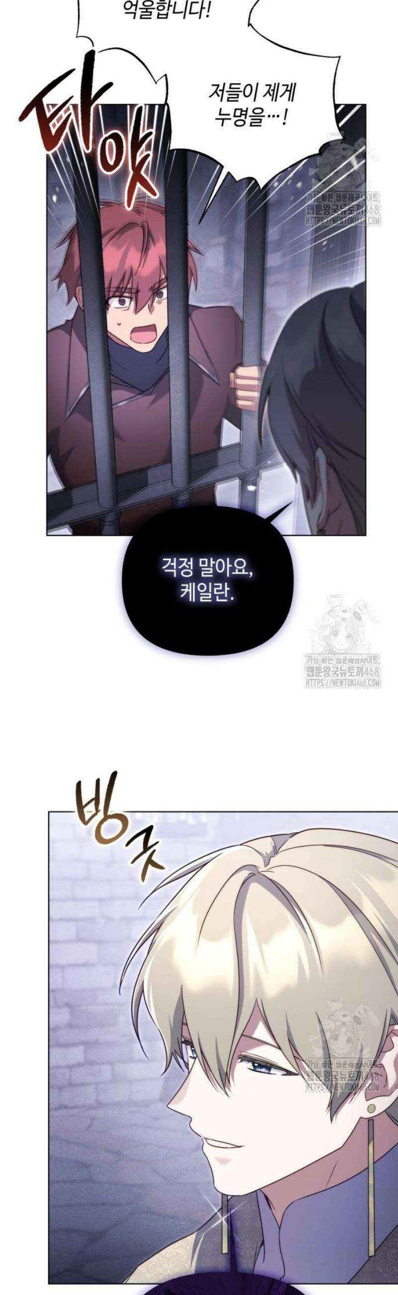 레벨 999 흑막 공녀가 되었다 67화 남부의 후계자(14) 35