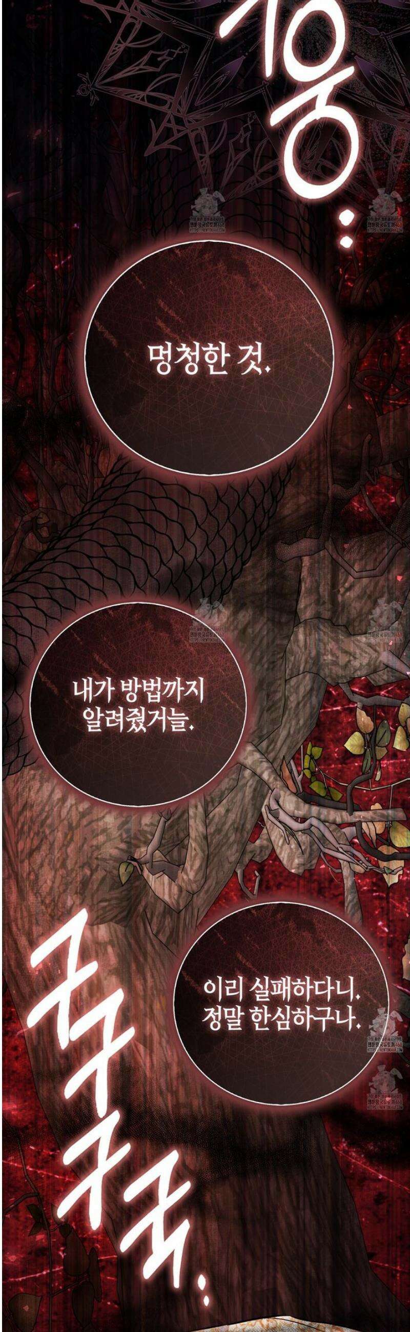 토끼라뇨, 누가 봐도 맹수인데 24화 3