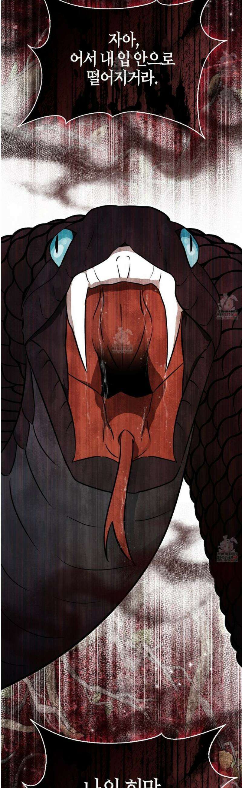 토끼라뇨, 누가 봐도 맹수인데 24화 12