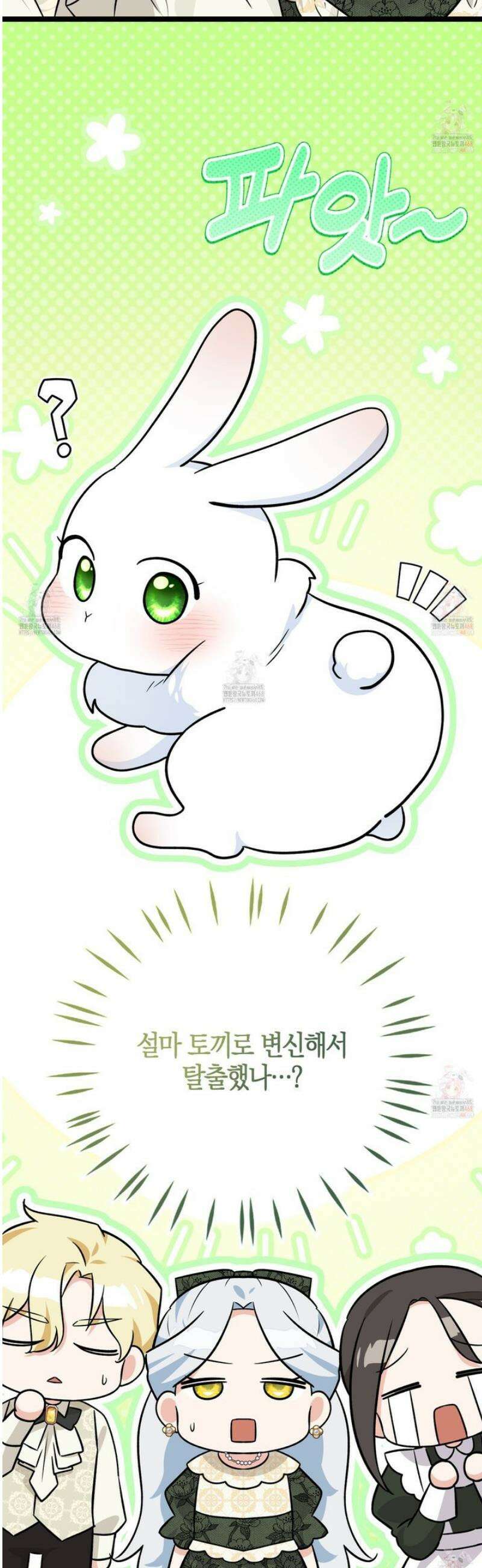 토끼라뇨, 누가 봐도 맹수인데 24화 60