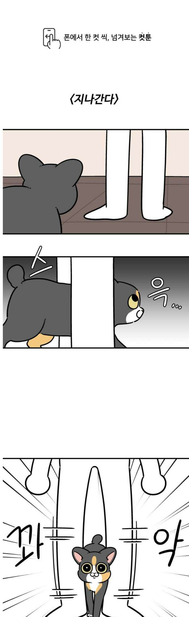 노곤하개 쇼츠 벌레가 나오면 1