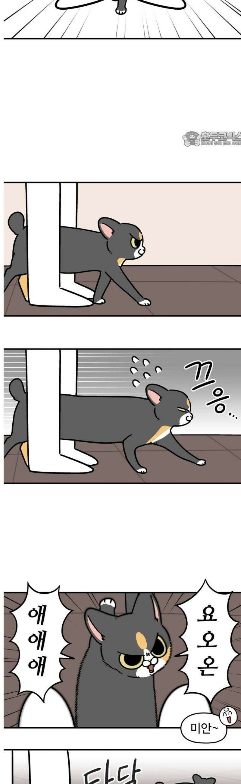 노곤하개 쇼츠 벌레가 나오면 2