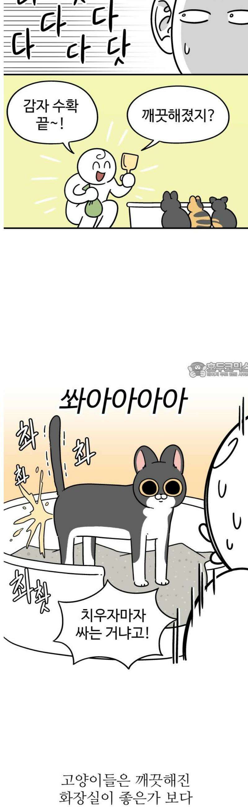 노곤하개 쇼츠 벌레가 나오면 6