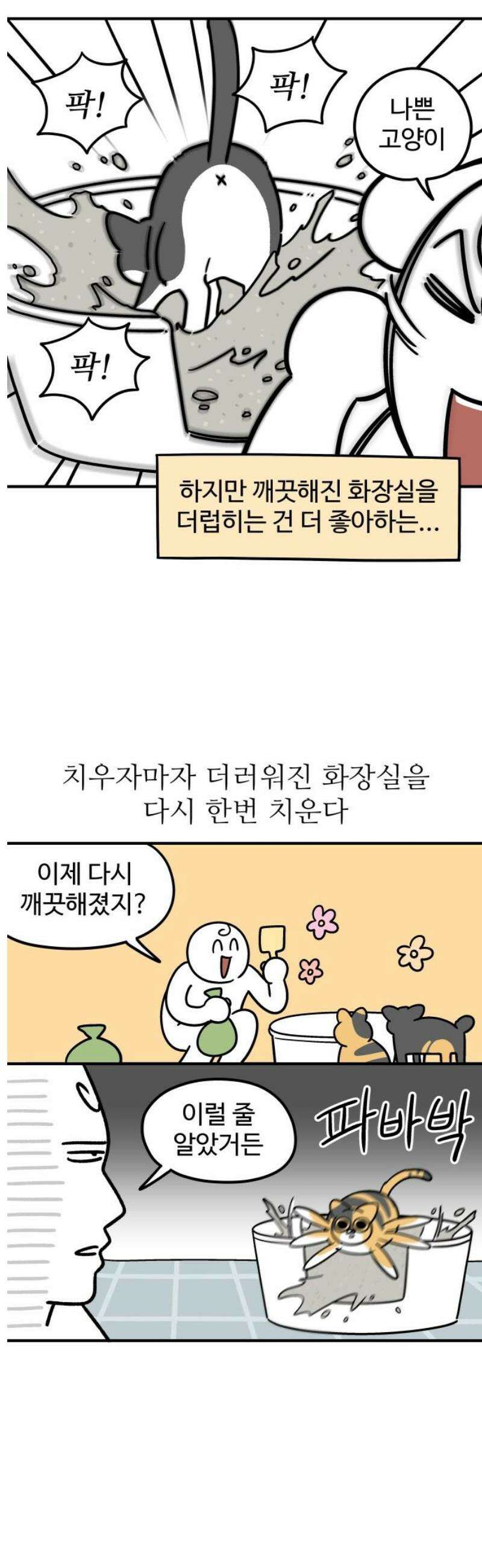 노곤하개 쇼츠 벌레가 나오면 7