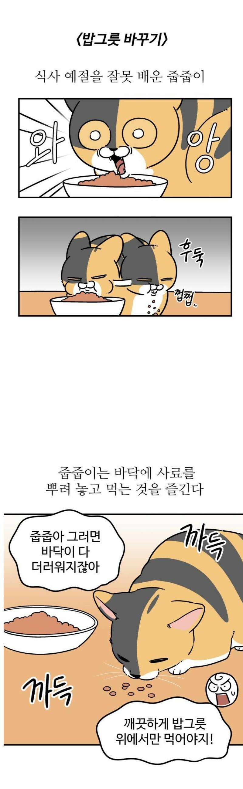 노곤하개 쇼츠 벌레가 나오면 9