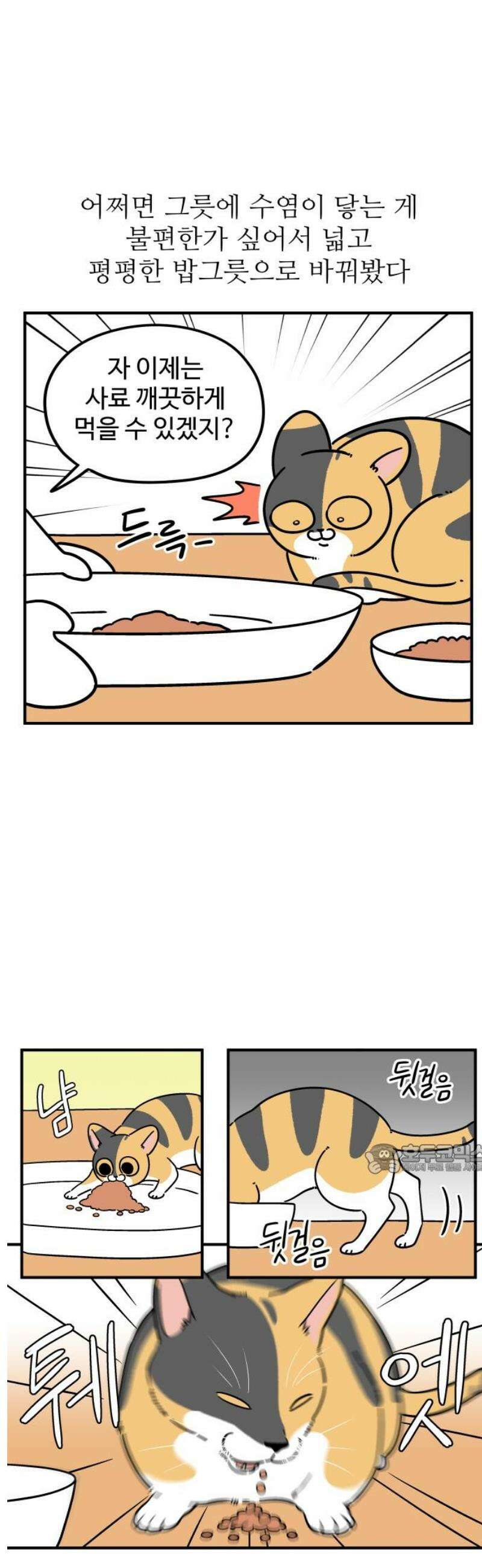 노곤하개 쇼츠 벌레가 나오면 10