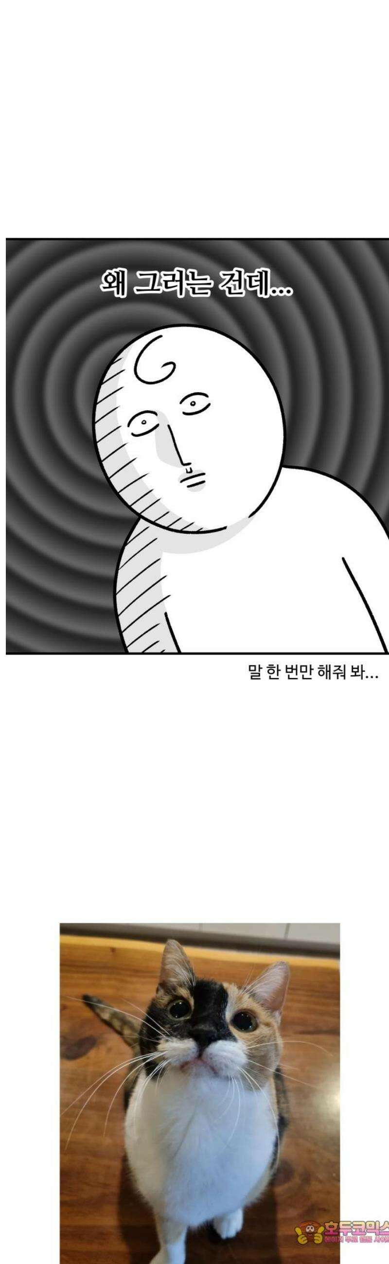 노곤하개 쇼츠 벌레가 나오면 11