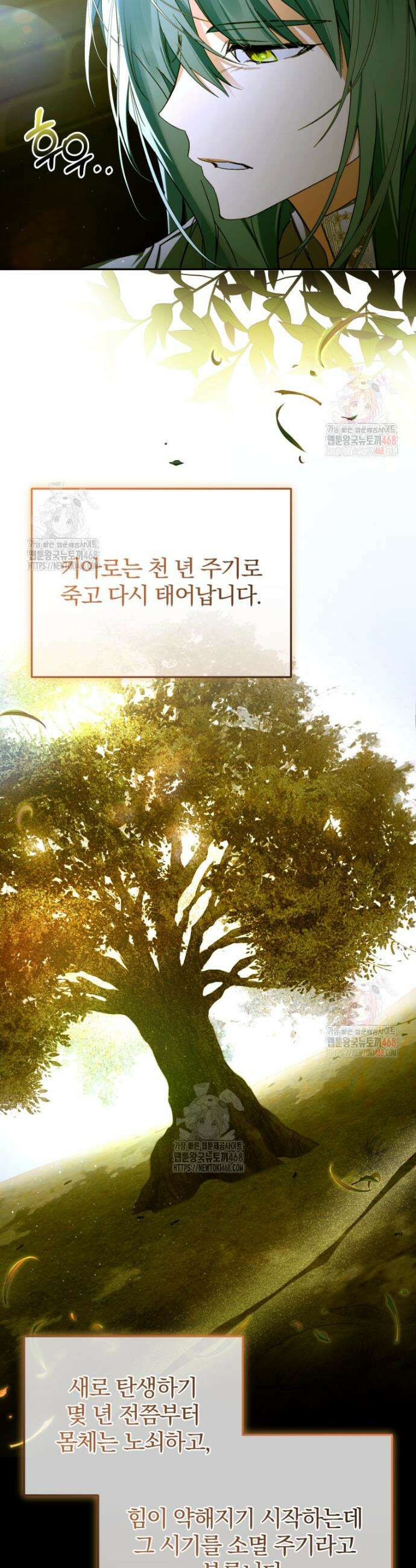 미친 악당의 품으로 떨어졌다 73화 13