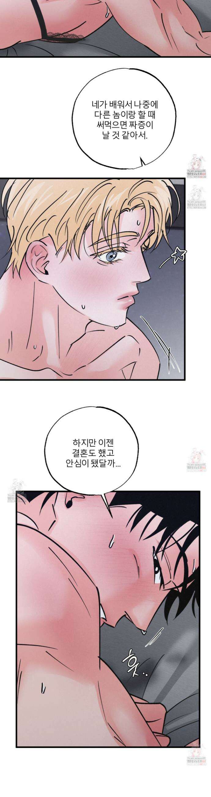 골든 페어(Golden Pair) 51화 24