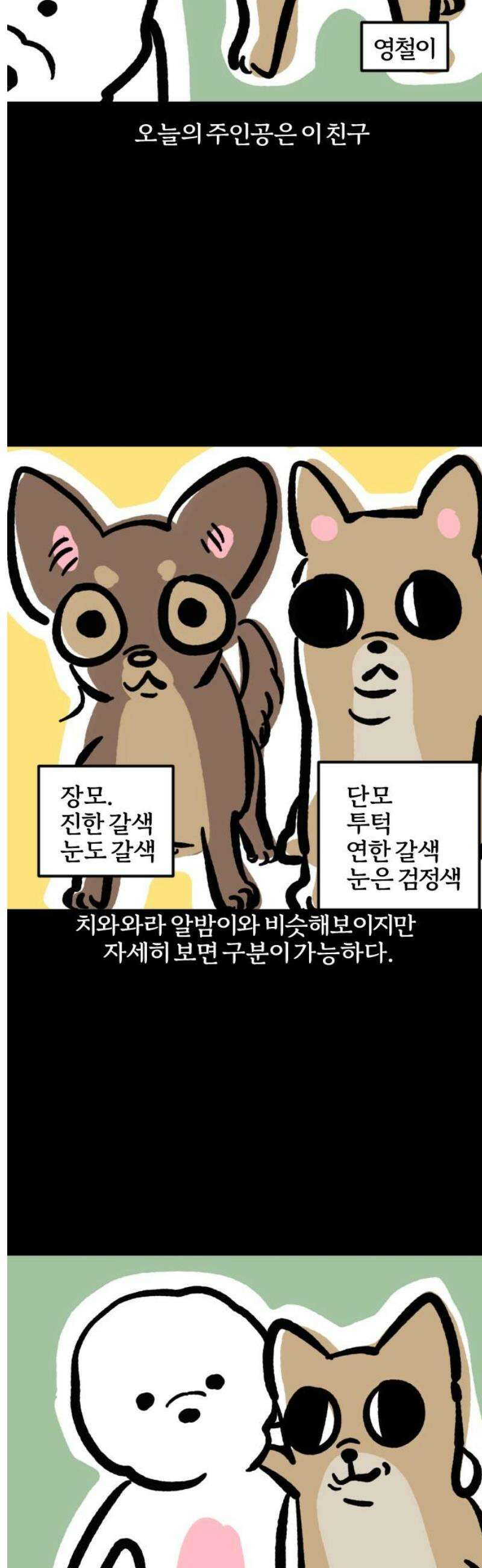 개집사 91화: 가지 마 3
