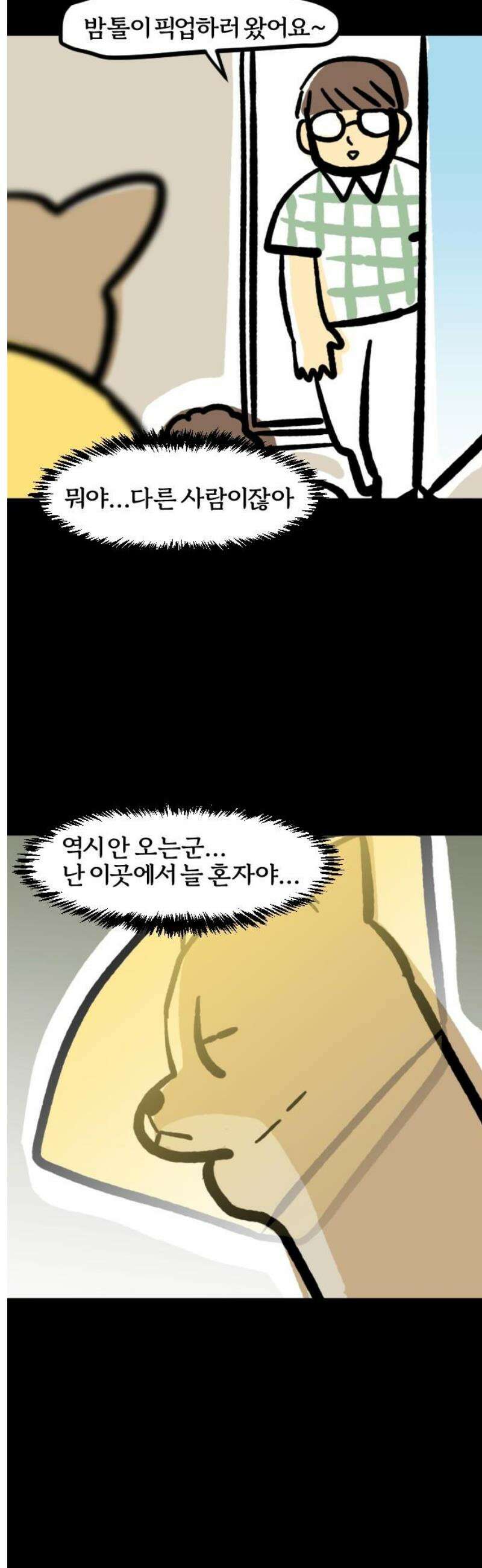 개집사 92화: 새 친구 11