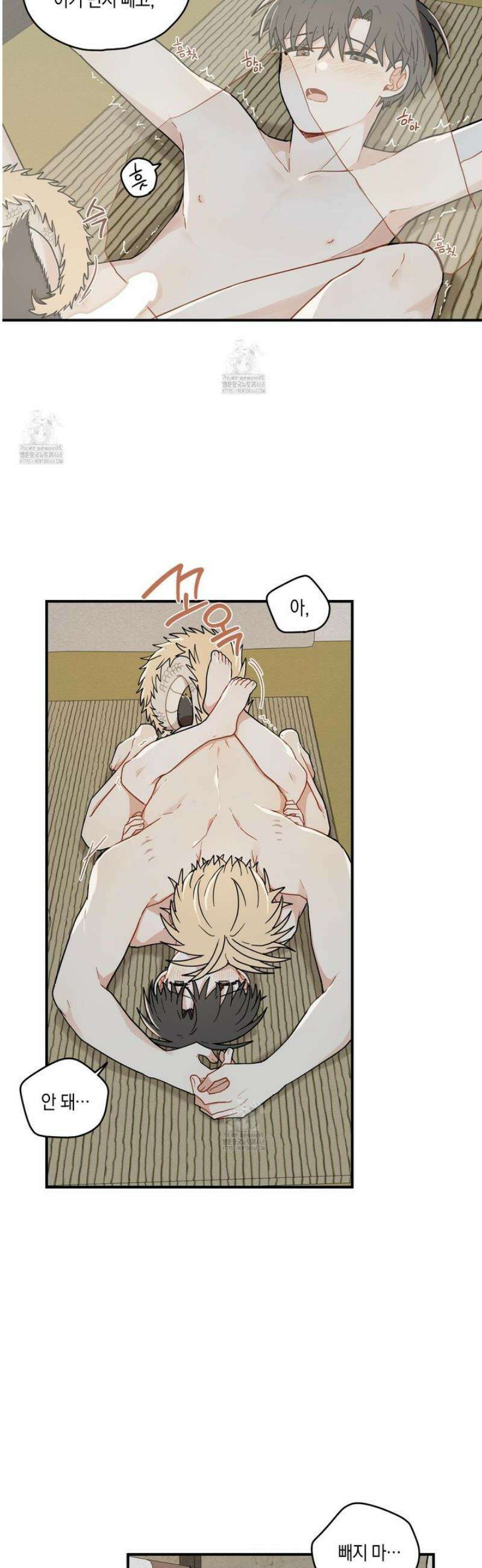 개나리가 떨어진 길 85화 6
