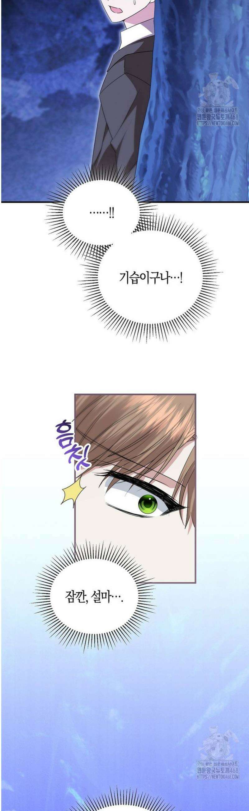 영웅은 됐어요, 은퇴라면 몰라도 67화 29