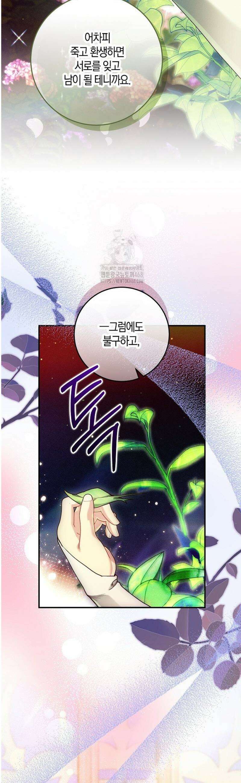 시한부 연인과 동거 생활 중입니다 49화 11