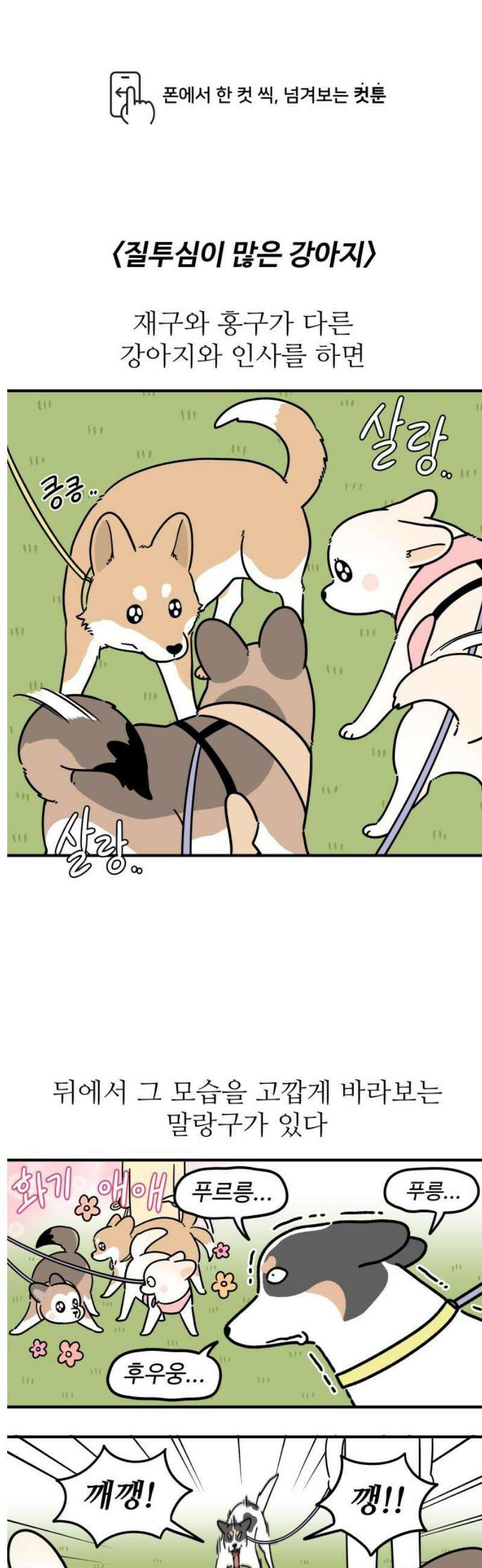 노곤하개 쇼츠 질투심이 많은 강아지 1