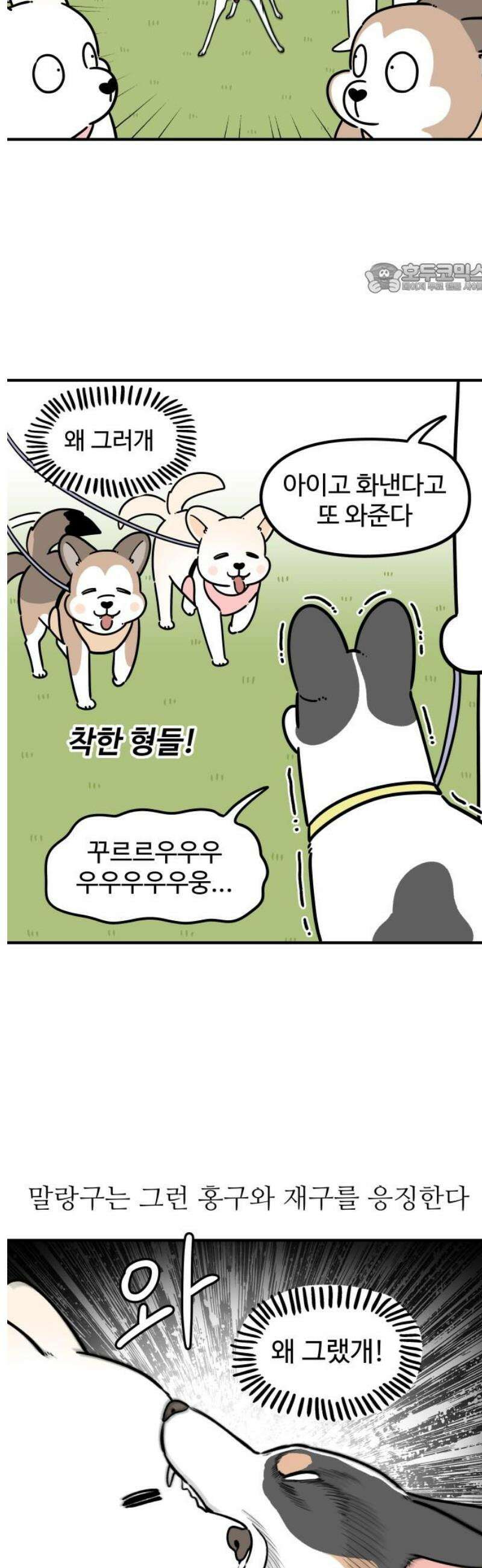 노곤하개 쇼츠 질투심이 많은 강아지 2