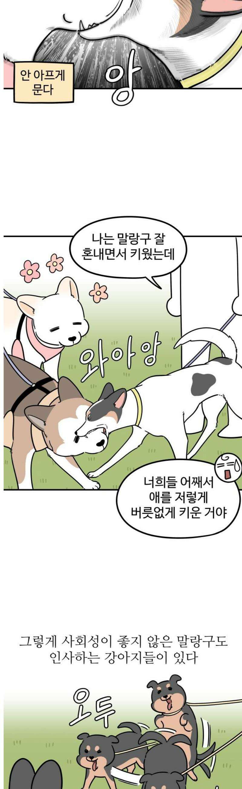 노곤하개 쇼츠 질투심이 많은 강아지 3