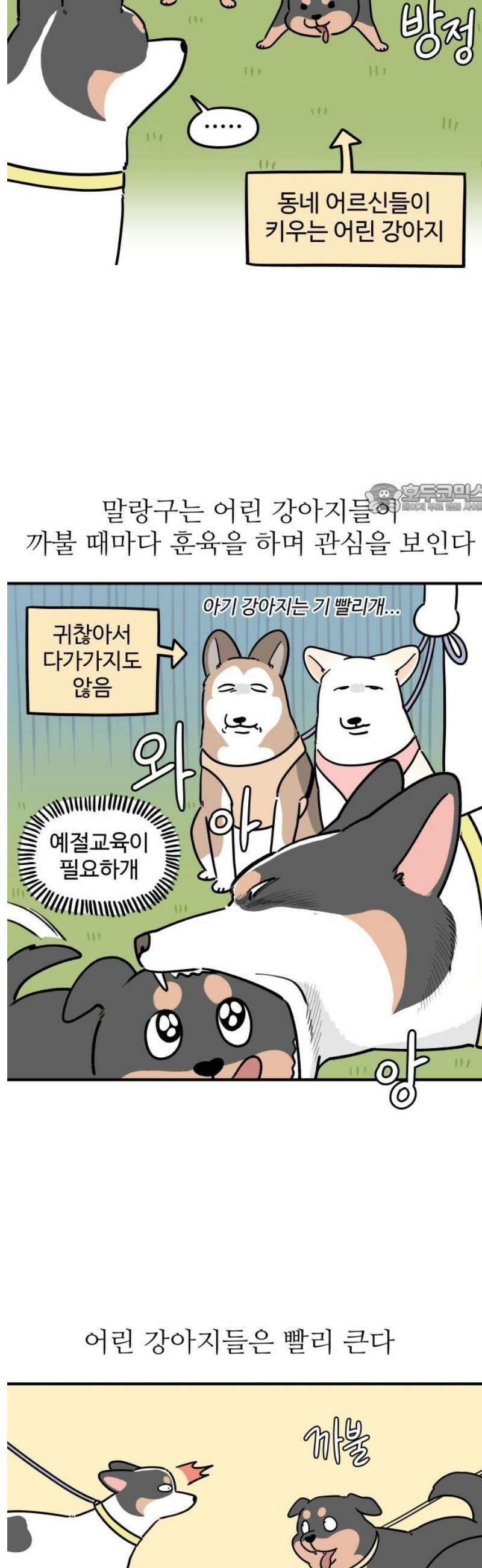 노곤하개 쇼츠 질투심이 많은 강아지 4