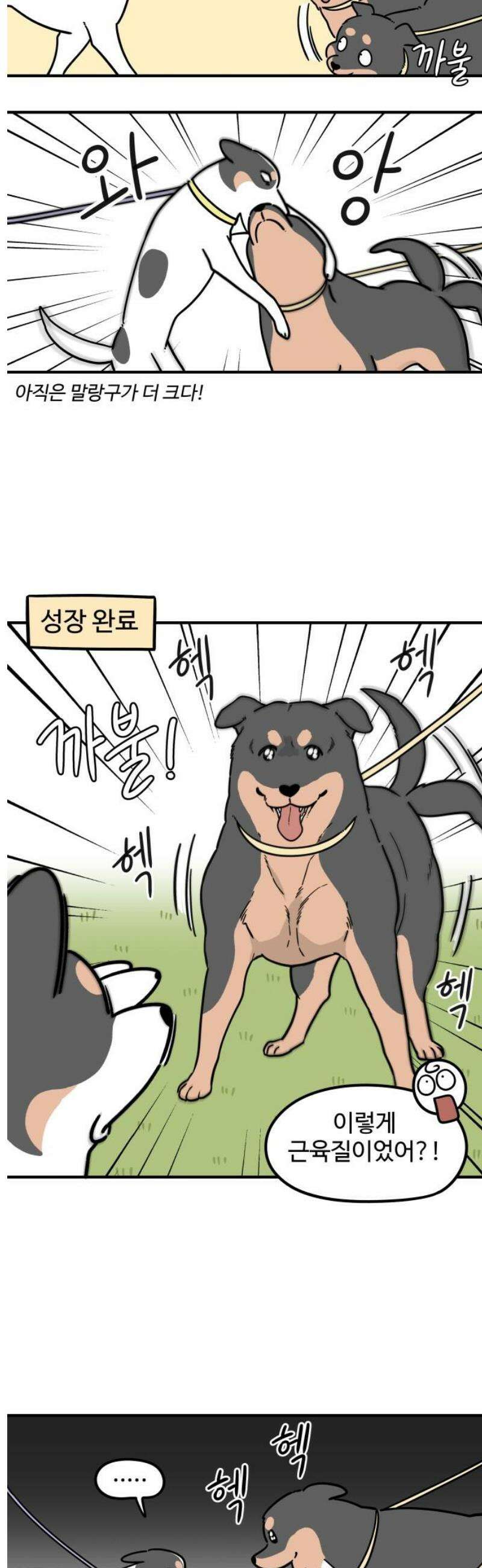 노곤하개 쇼츠 질투심이 많은 강아지 5