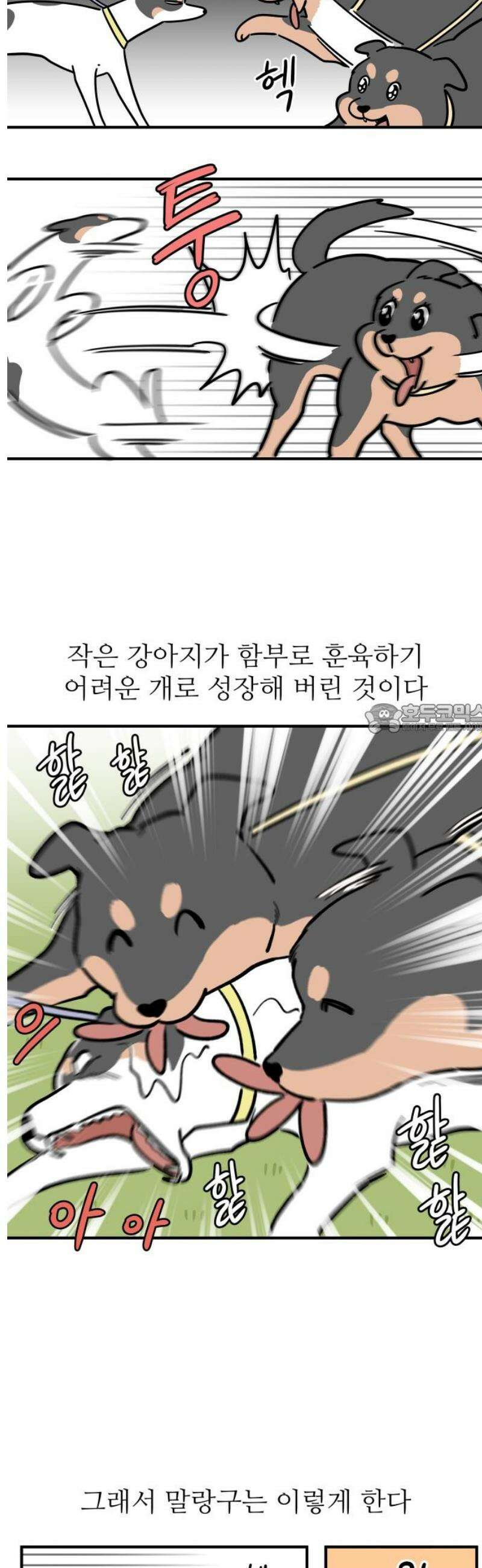 노곤하개 쇼츠 질투심이 많은 강아지 6