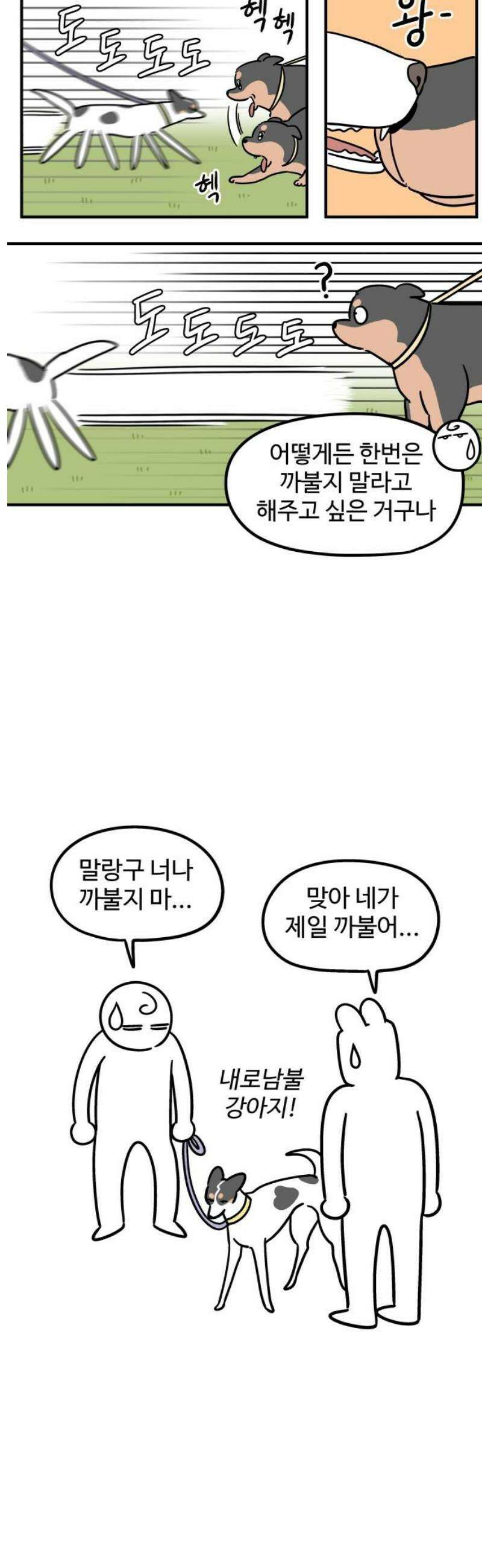 노곤하개 쇼츠 질투심이 많은 강아지 7