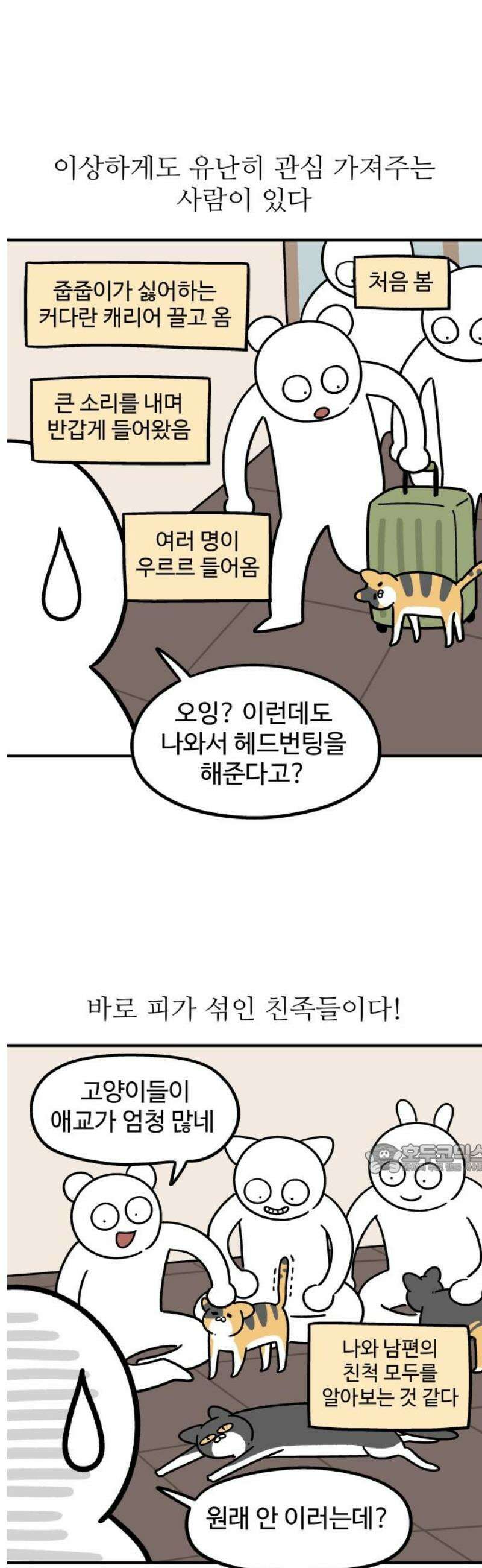 노곤하개 쇼츠 질투심이 많은 강아지 10