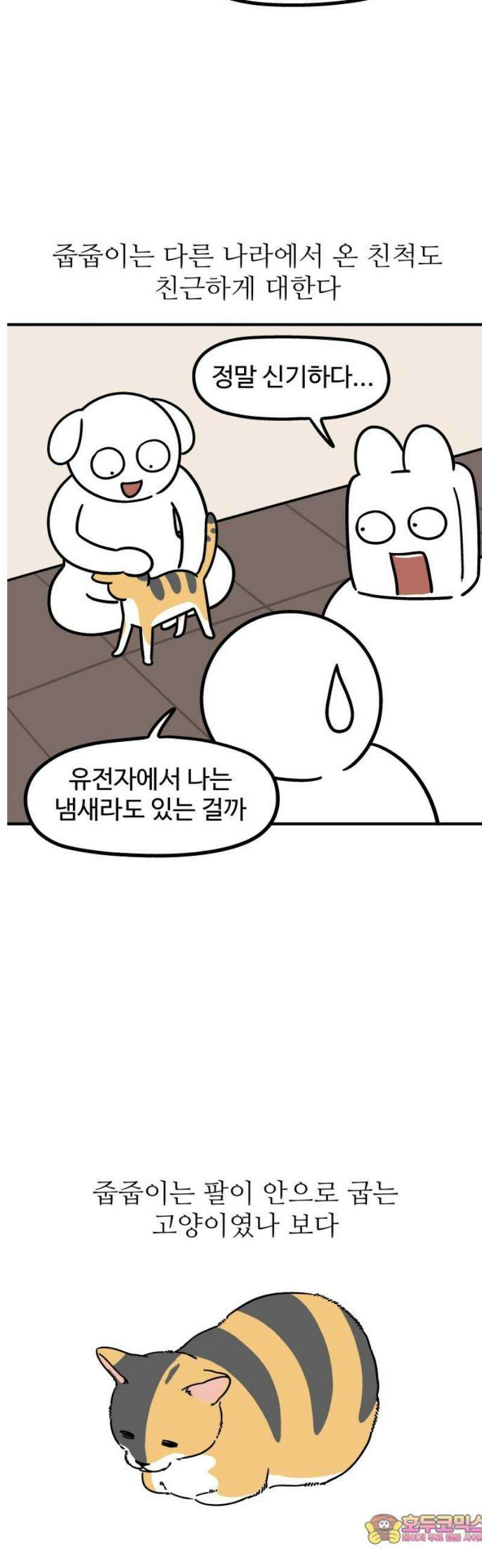 노곤하개 쇼츠 질투심이 많은 강아지 11