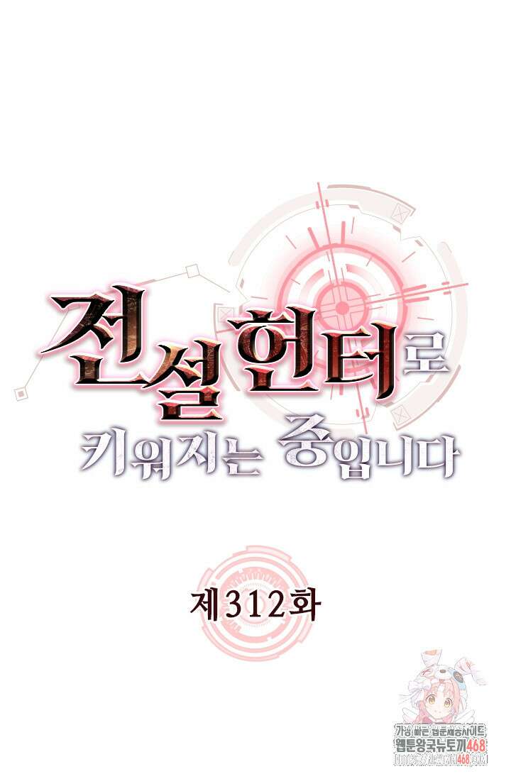 전설 헌터로 키워지는 중입니다 312화 1