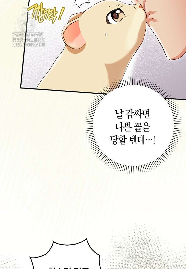 신데렐라는 이 멧밭쥐가 데려갑니다 2화 13