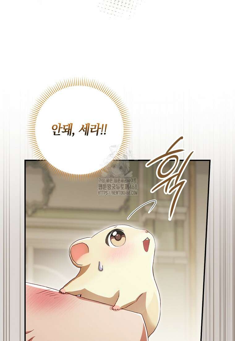 신데렐라는 이 멧밭쥐가 데려갑니다 2화 15