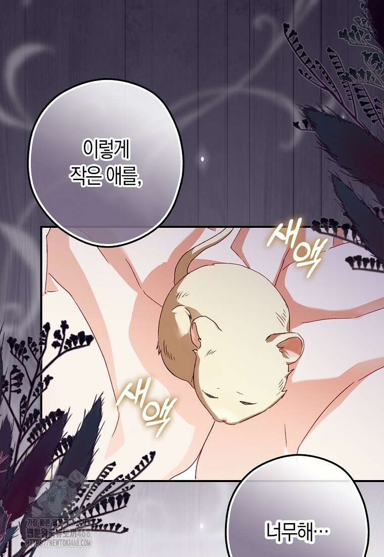 신데렐라는 이 멧밭쥐가 데려갑니다 2화 26