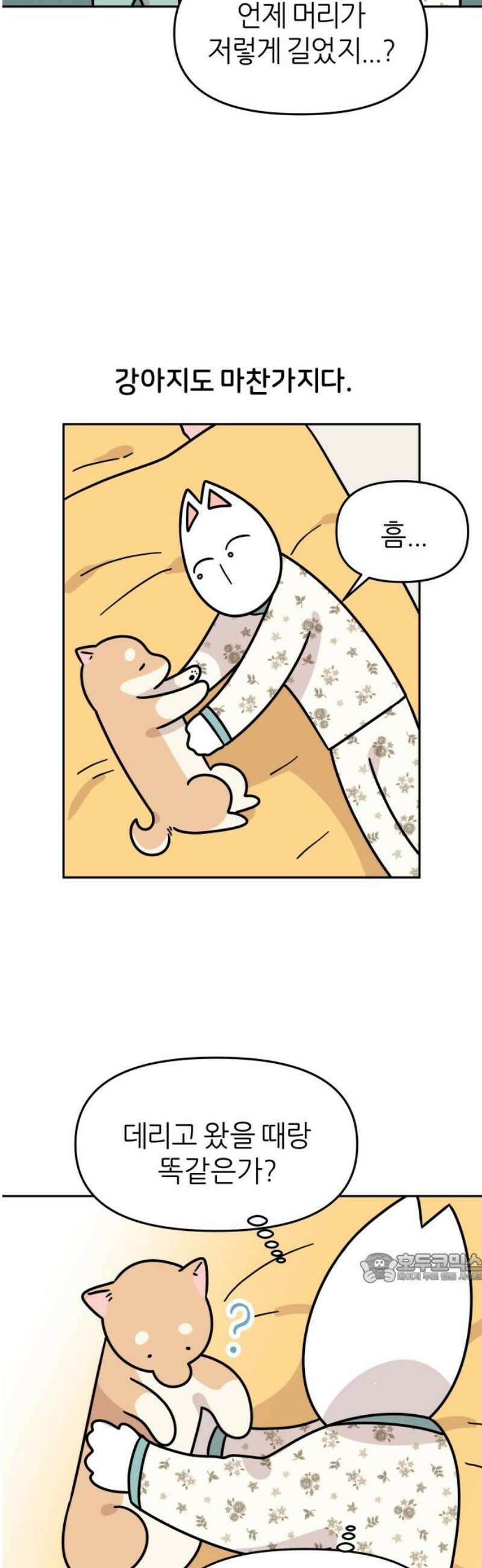 시바, 만만치 않다 50화 포동포동 2